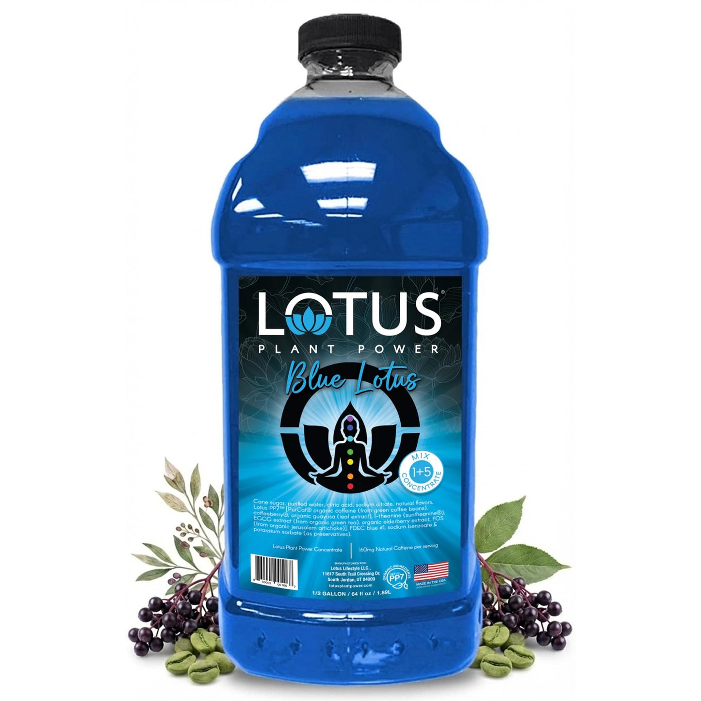 Blue Lotus Plant Power® Energy Drink Concentrate | Natural Caffeine & PP7™ Formula | Plant-Based Organic Ingredients | Organic Cane Sugar Beverage |