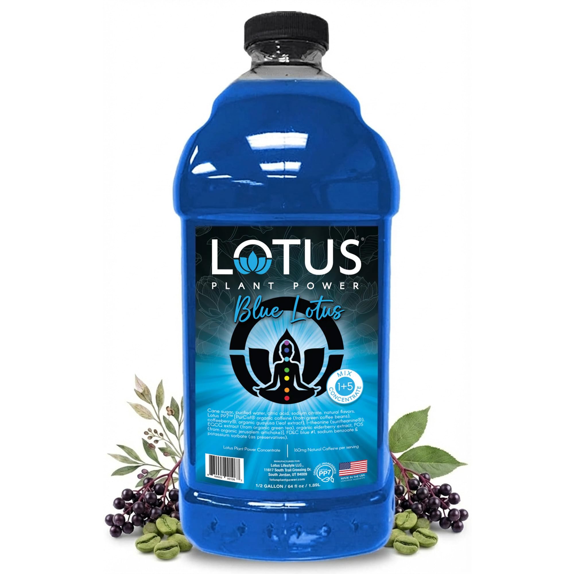 Blue Lotus Plant Power® Energy Drink Concentrate | Natural Caffeine & PP7™ Formula | Plant-Based Organic Ingredients | Organic Cane Sugar Beverage |