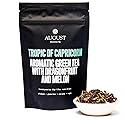 August Uncommon Tropic of Capricorn Green Tea - Handcrafted Loose Leaf Sencha - Refreshing Drink with Sweet Dragonfruit Tea & Melon Notes in a