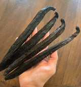 Peruvian V, Pompona Vanilla Beans - Gourmet Grade A - Vacuum Packaged - For At-Home Vanilla Extract Making, Brewing & For Use in Baking (1)