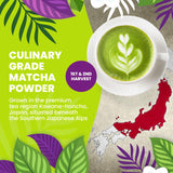 Cederberg Tea Company Organic Japanese Matcha - Single Estate First & Second Harvest from Japan | 4 oz., 113 gm, Premium Green Tea, Antioxidant-Rich
