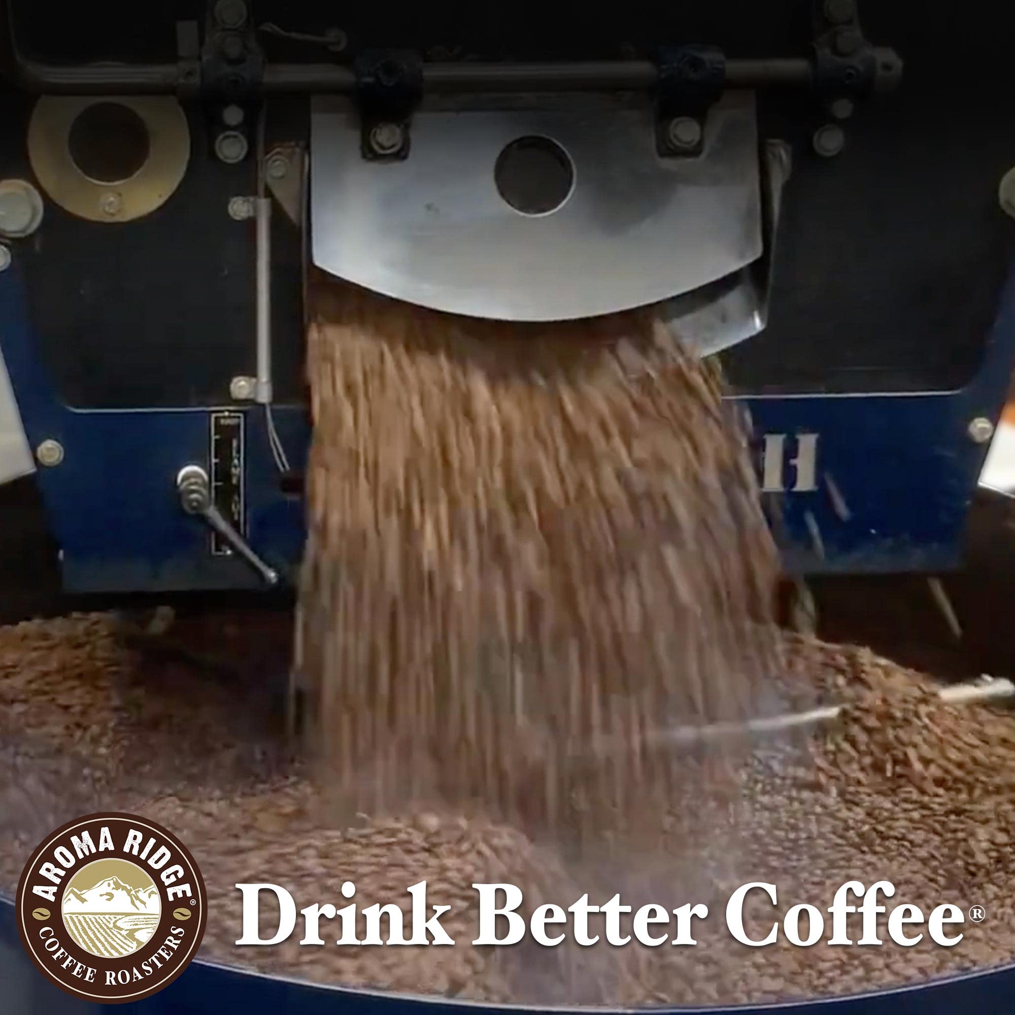 Aroma Ridge Beat The Heat Cold Brew Coffee - Premium Cold Brew Blend | 100% Arabica Bold Low-Acid Coffee Beans | Ground for Cold Brew - 16 oz