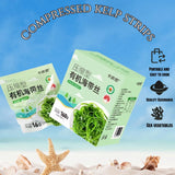 Dried kelp (160g/5.64oz) Compressed kelp strips | Individually vacuum-packed 16g per bag, 10 bags total | Easy to store | Suitable for Japanese dashi