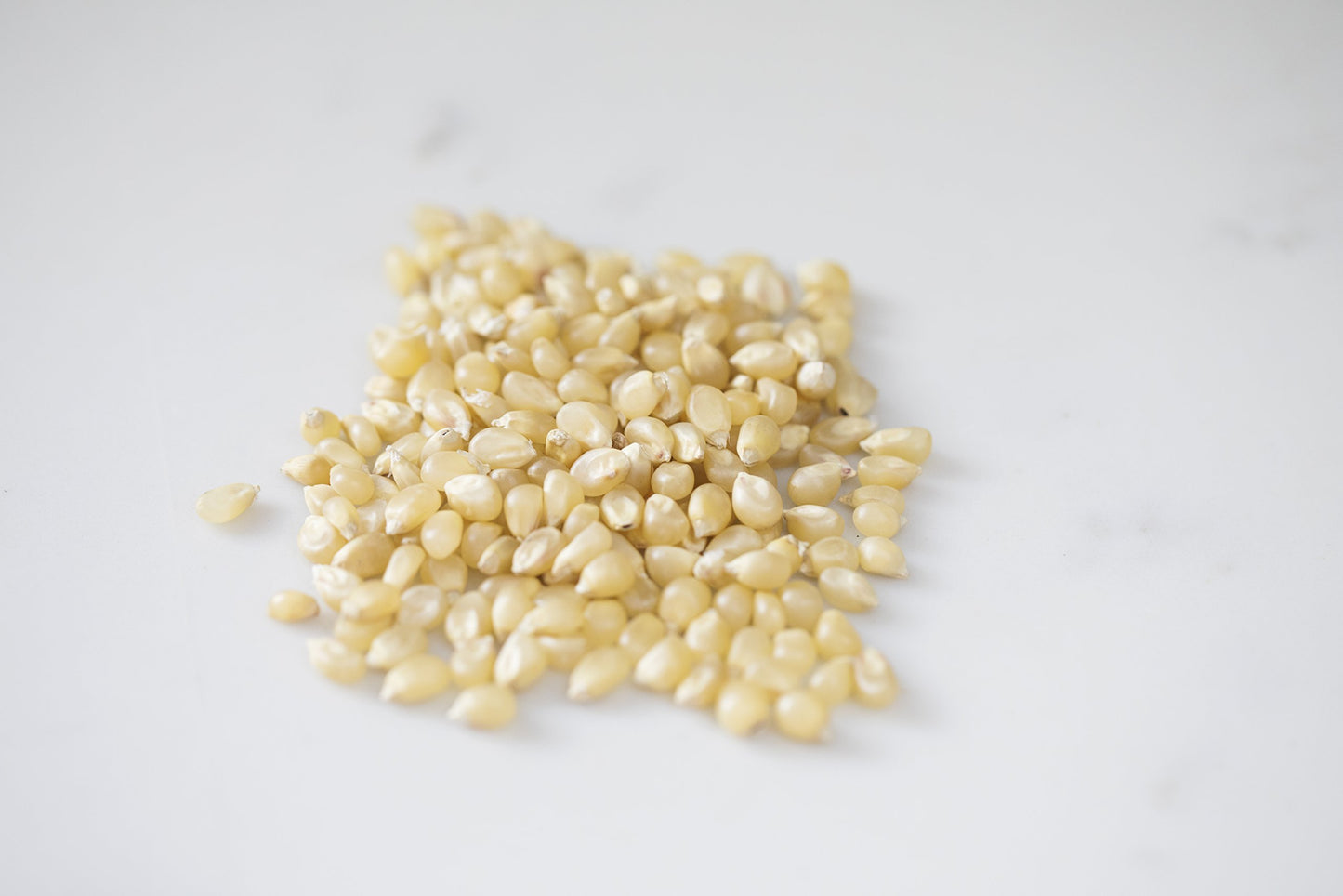 Amish Country Popcorn | 2-14 oz Bottles | Medium White Popcorn Kernels | Old Fashioned, Non-GMO and Gluten Free (2-14 oz Bottles)