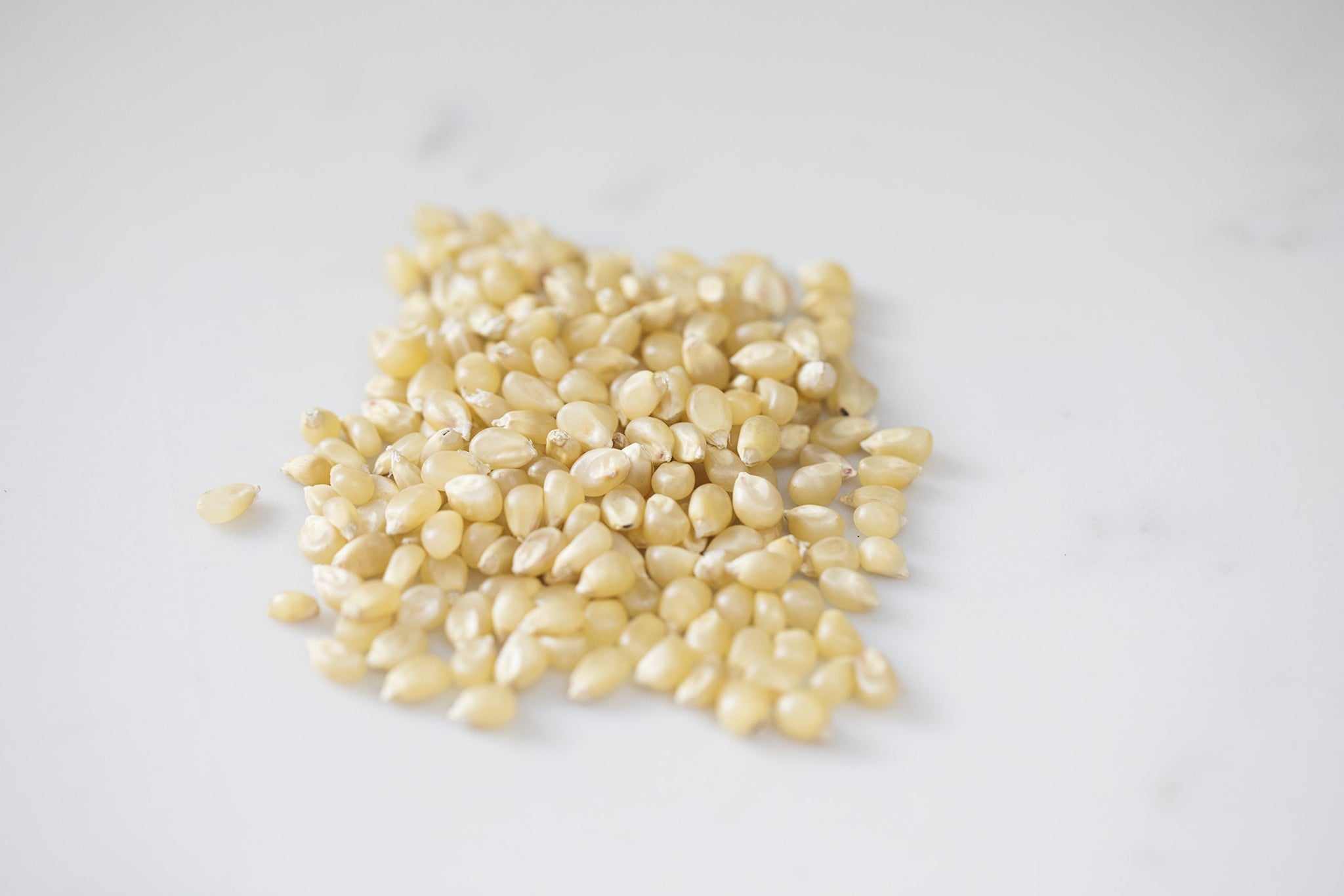 Amish Country Popcorn | 2 Lb Medium White Popcorn | Old Fashioned, Non-GMO and Gluten Free (2lb Bags)