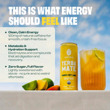 Mateina Organic Mango Key Lime Yerba Mate, 12 Fl Oz
