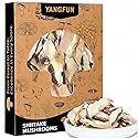 Premium Dried Shiitake Mushrooms, Rich Umami Flavor, Gluten-Free Vegan Snack- Perfect for Soups, Stir-Fry & Health Cooking,8oz