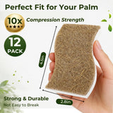 Natural Brown Cellulose Kitchen Sponges, 12 Pack - Plant-Based Coconut Dish Sponge, Non-Scratch Scrubber, Compostable & Biodegradable Eco-Friendly