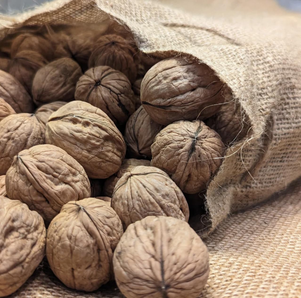 JMSPACK - Walnuts Halves With Pieces, 16 Ounces (1 Lb)
