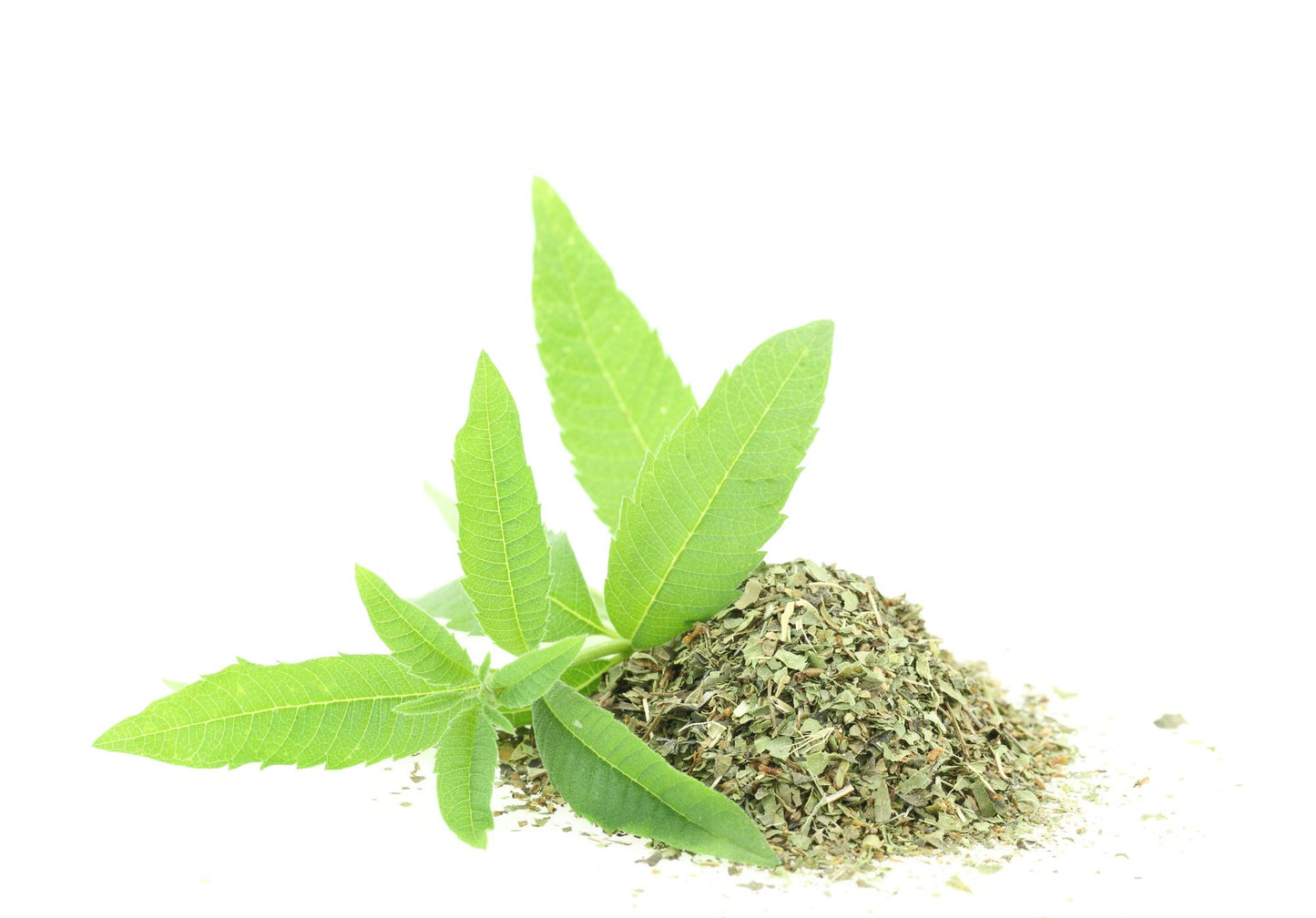 Lemon Verbena 5 oz (Aloysia Citrodora) Dried Cut Leaves, 100% Pure and Natural, Product From Egypt, Packaged in the USA (5 oz)