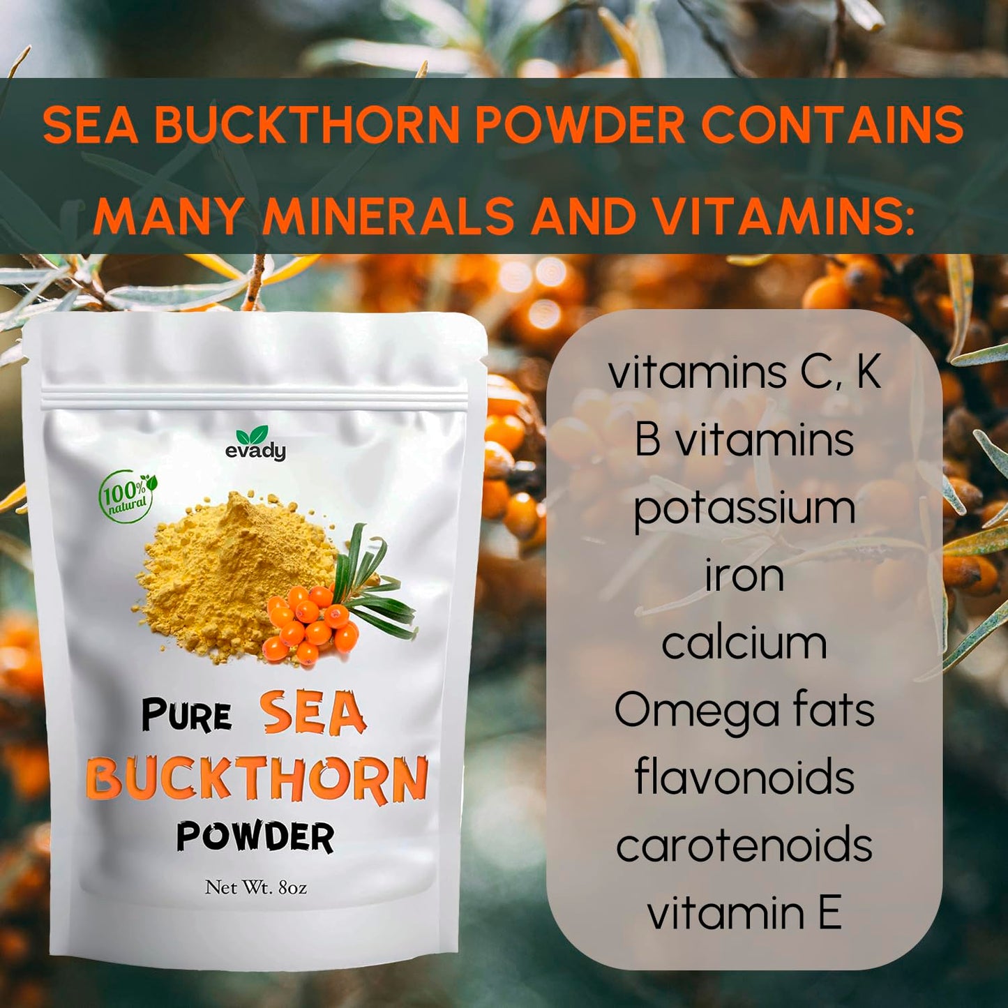 Sea Buckthorn Powder 8 oz, Natural Powder for Beverages, Cooking