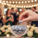 Jordan Almonds Candy - Silver Coated Almonds for Weddings, Candy Buffets & Party Favors, 1 lb Bag