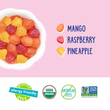 YumEarth Organic Assorted Tropical Flavor Fruit Snacks - Allergy Friendly (Top 9 Free), No Artificial Dyes, Non GMO, Gluten Free, Vegan Candy Snacks