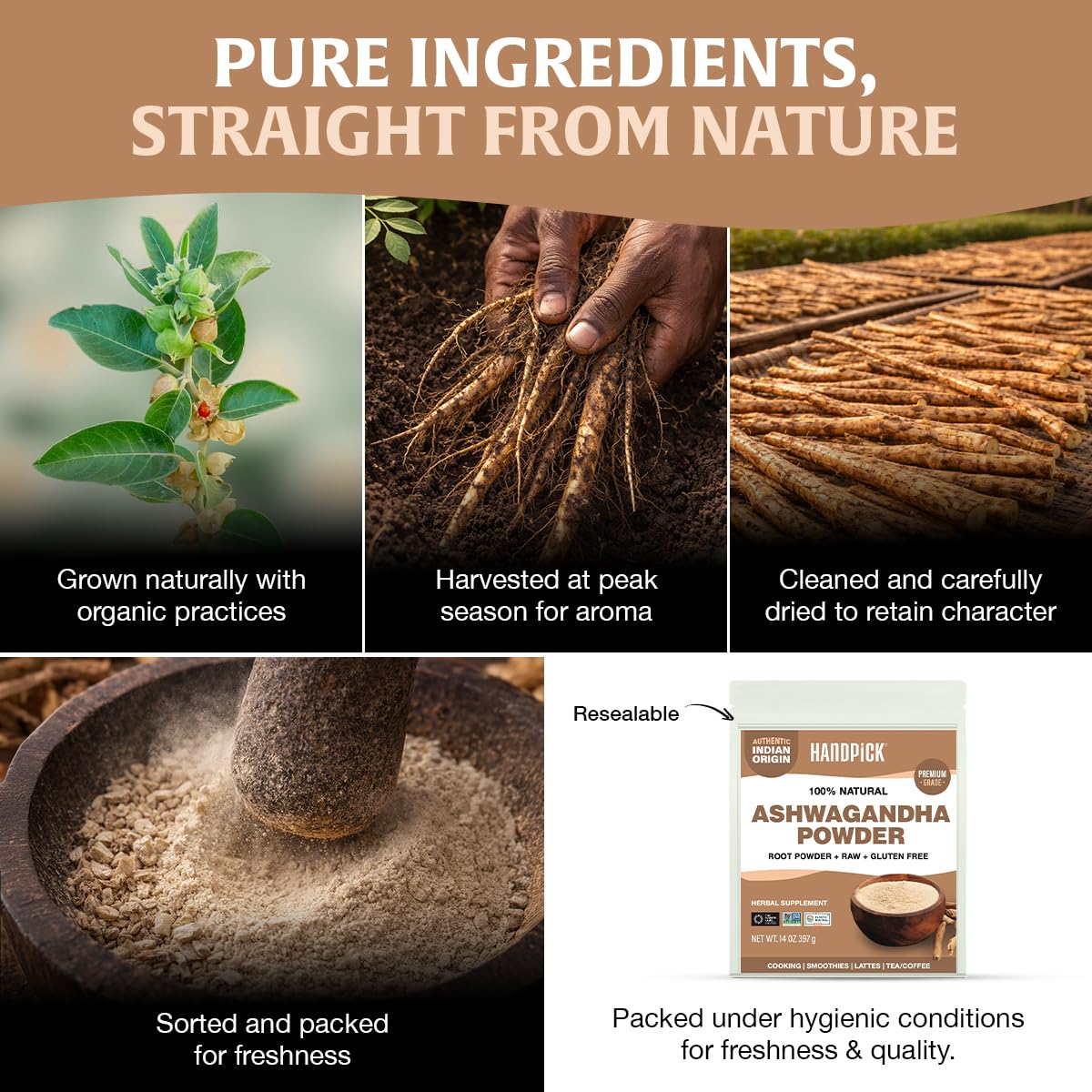 HANDPICK Ashwagandha Root Powder (397g/14oz) No Fillers, No Additives | Finest Grade A Root Powder - Withania Somnifera | Non-GMO & Raw from India