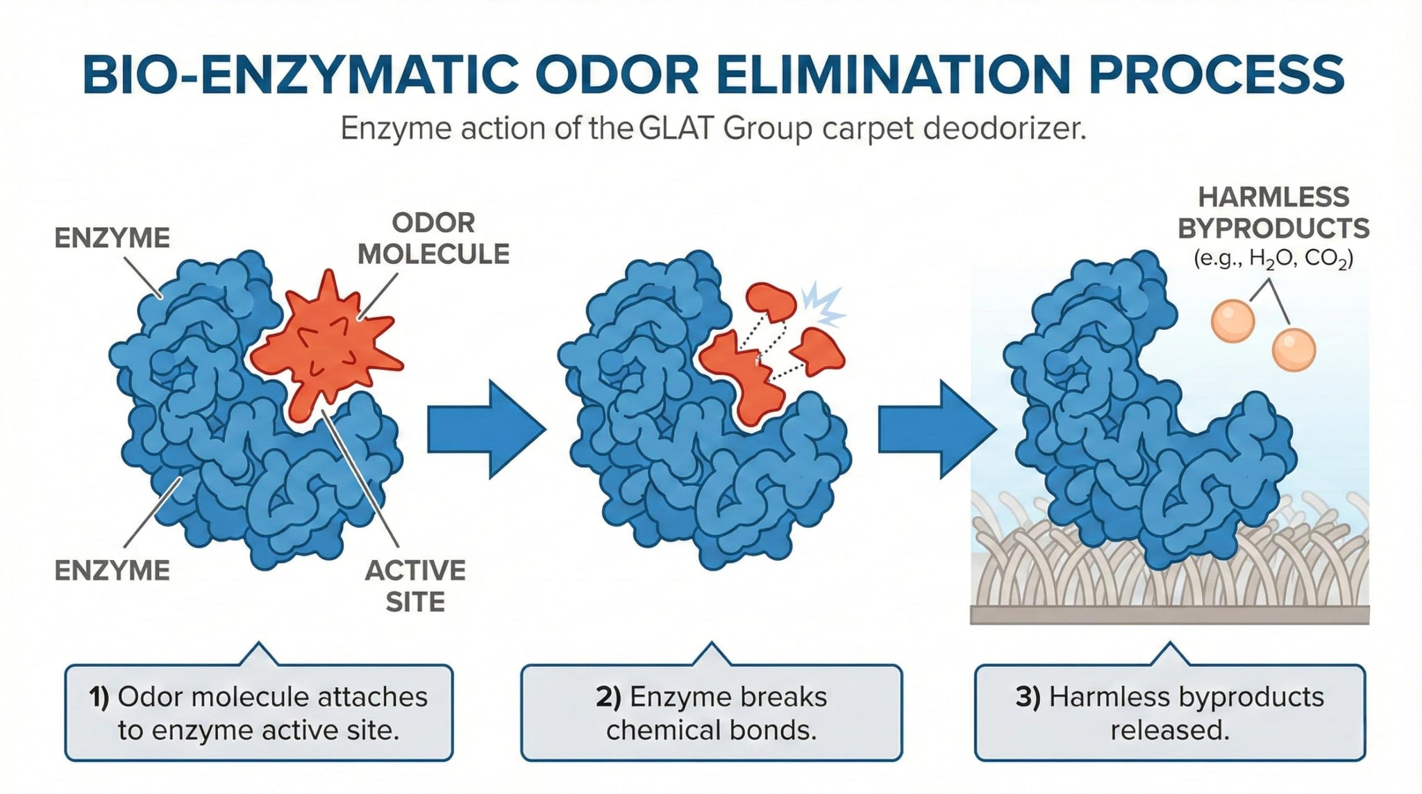 GLAT Group Enzyme-Powered Carpet Deodorizer (Powder) - Unscented | Natural Pet Odor Eliminator | Bio-Enzymatic Formula, Premium Performance, Eco