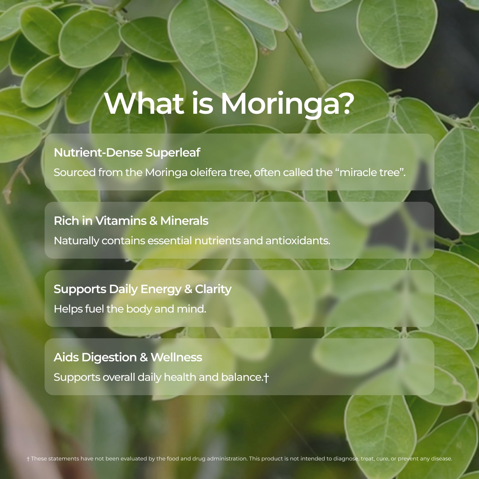 Livingood Daily Coffee with Moringa, Ground Medium Roast Coffee with Plant Based Ingredients for Morning Energy, Made with Moringa Powder, Organic