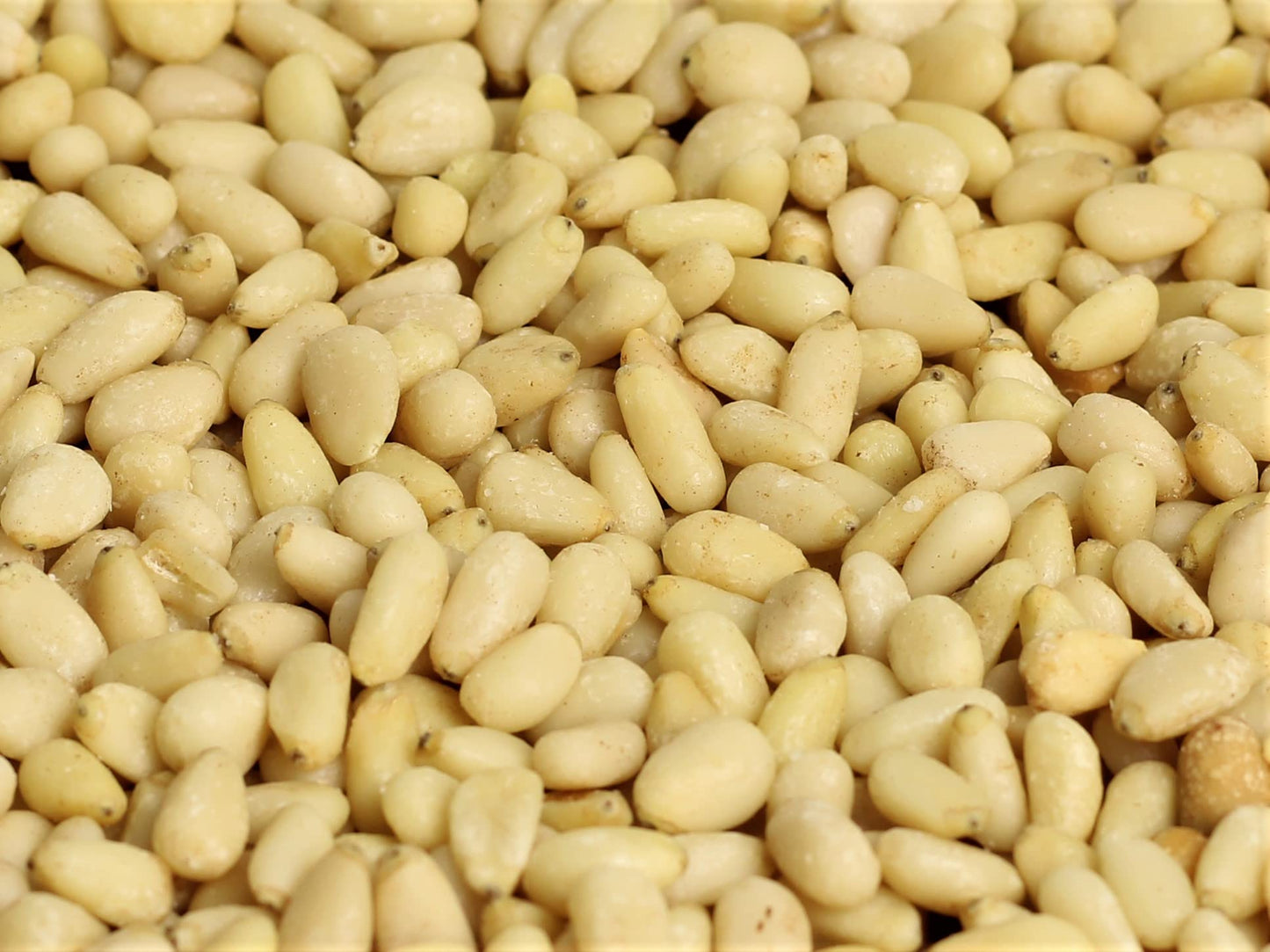Raw Pine Nuts by It’s Delish, 1 lb Bulk | Unsalted Raw Pine Nuts for Baking, Pesto or Salads | Natural and Kosher Pine Nuts for Vegan Snacking