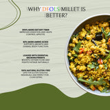 DFOLS Millet Whole Grain Mild Earthy Flavor for Healthy Cooking 0.55lb 8.82oz (250g) Premium Quality ????