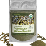 Organic Maine Coast Kelp Seaweed Powder 2oz by My Berry | Dark Green, Fresh Kelp Only | (Ascophyllum Nodosum) | US Atlantic Ocean Grown