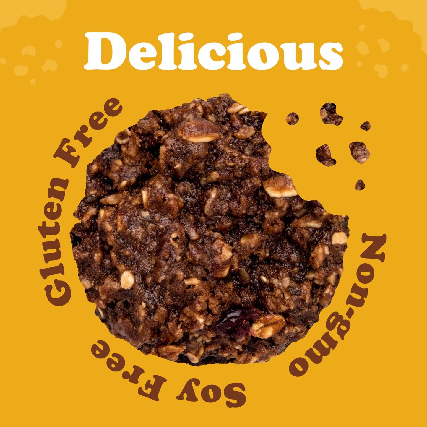 Alyssa’s Vegan Chocobites ? Gluten Free Cookies, Healthy Snacks from the Bakery ? Dairy Free, Sugar Free, Low Carb, Keto Protein Snacks ? Gluten Free
