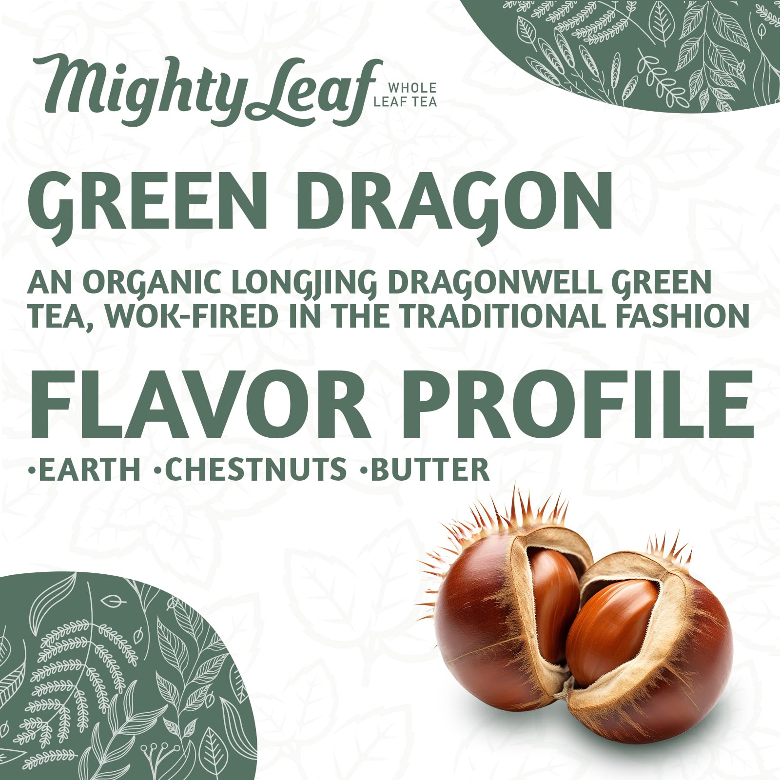 Mighty Leaf Organic Green Dragon Tea - 100 Count Whole Leaf Green Tea Bags - Smooth & Earthy Flavor - Premium Silk Pouches for Wellness and Natural