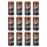 Venom Energy Drink, Fruit Punch, 0 Fat, 160mg Caffeine, 16 Fl Oz (Pack of 12) By LastFuel.
