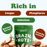Food to Live - Raw Brazil Nuts, 1 Pound, Raw, Whole, No Shell, Unsalted, Kosher, Vegan, Keto and Paleo Friendly, Bulk, Good Source of Selenium, Low