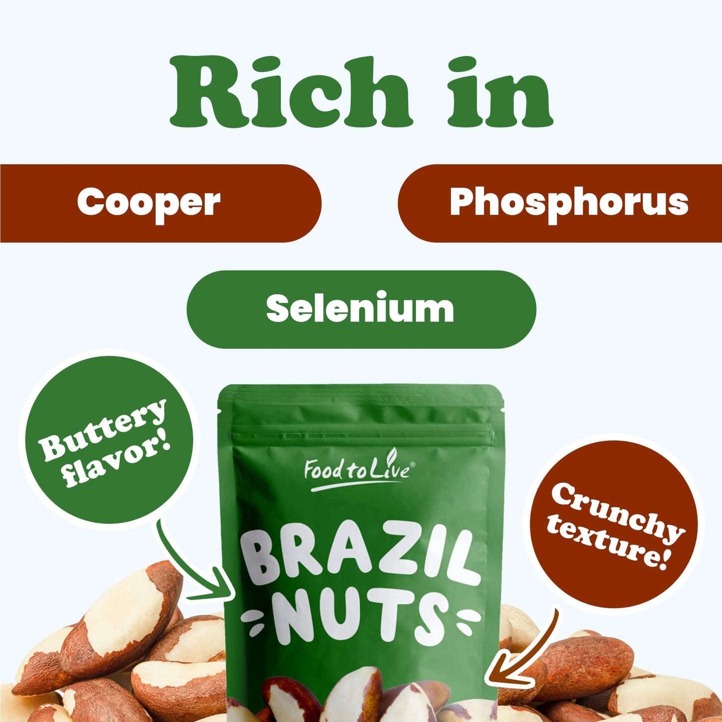 Food to Live - Raw Brazil Nuts, 2 Pound, Raw, Whole, No Shell, Unsalted, Kosher, Vegan, Keto and Paleo Friendly, Bulk, Good Source of Selenium, Low