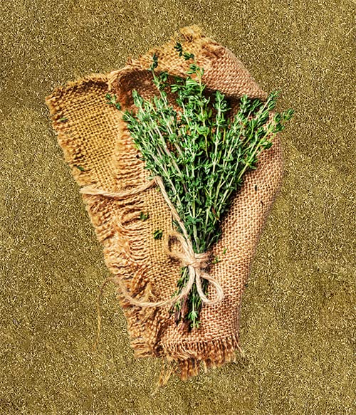 Unpretentious Ground Thyme, 1 lb, Versatile Seasoning, Savory Flavor, Soups & Sauces