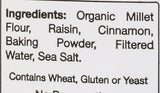 Deland Bakery Raisin Bagels, 16 OZ