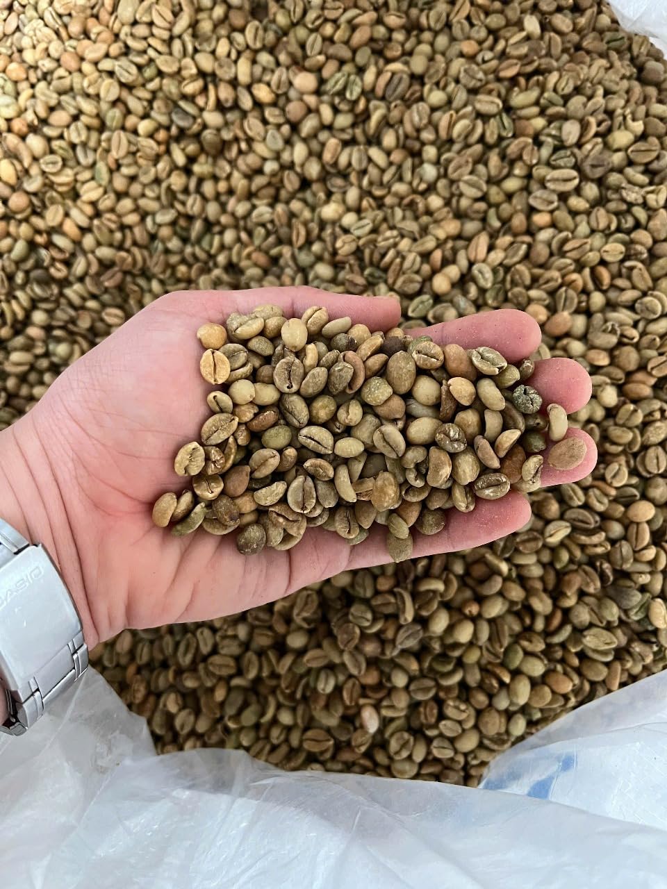 Excelsa Coffee - Vietnam Green Coffee Beans, Unroasted, 5 lbs | Rare Species, Home Roasting, Bright Fruity Flavor, Low Caffeine