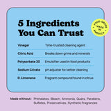 Loom Wipes All Purpose Natural Cleaning Wipes - Vinegar & Citrus Powered Multi Surface Cleaner - 50 Count
