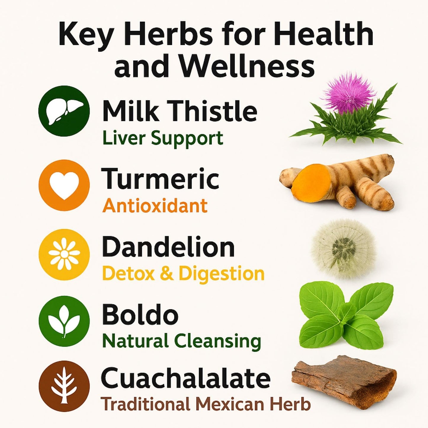 Cardo mariano, curcuma, diente de leon, boldo & cuachalalate TE (Milk thistle, turmeric, dandelion, boldo & cuachalalate) 24 Tea Bags, 100% natural