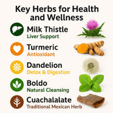 Cardo mariano, curcuma, diente de leon, boldo & cuachalalate TE (Milk thistle, turmeric, dandelion, boldo & cuachalalate) 24 Tea Bags, 100% natural