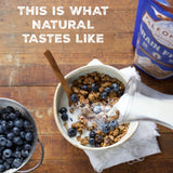 Paleonola Cinnamon Blueberry Grain Free Granola, 10 Oz Resealable Bag (Pack of 1) - Grainless Paleo Granola Blended w/Dried Coconut & Blueberries