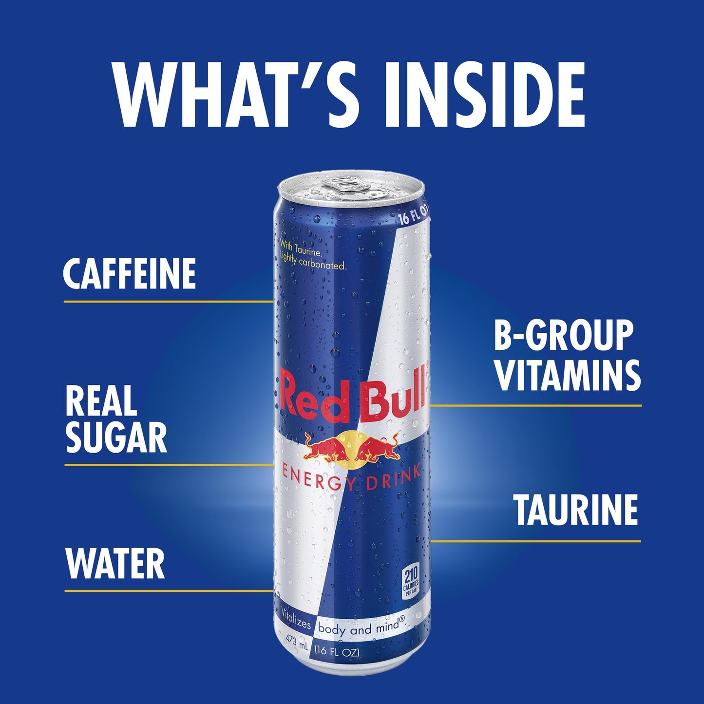 Red Bull Energy Drink, 16 Fl oz