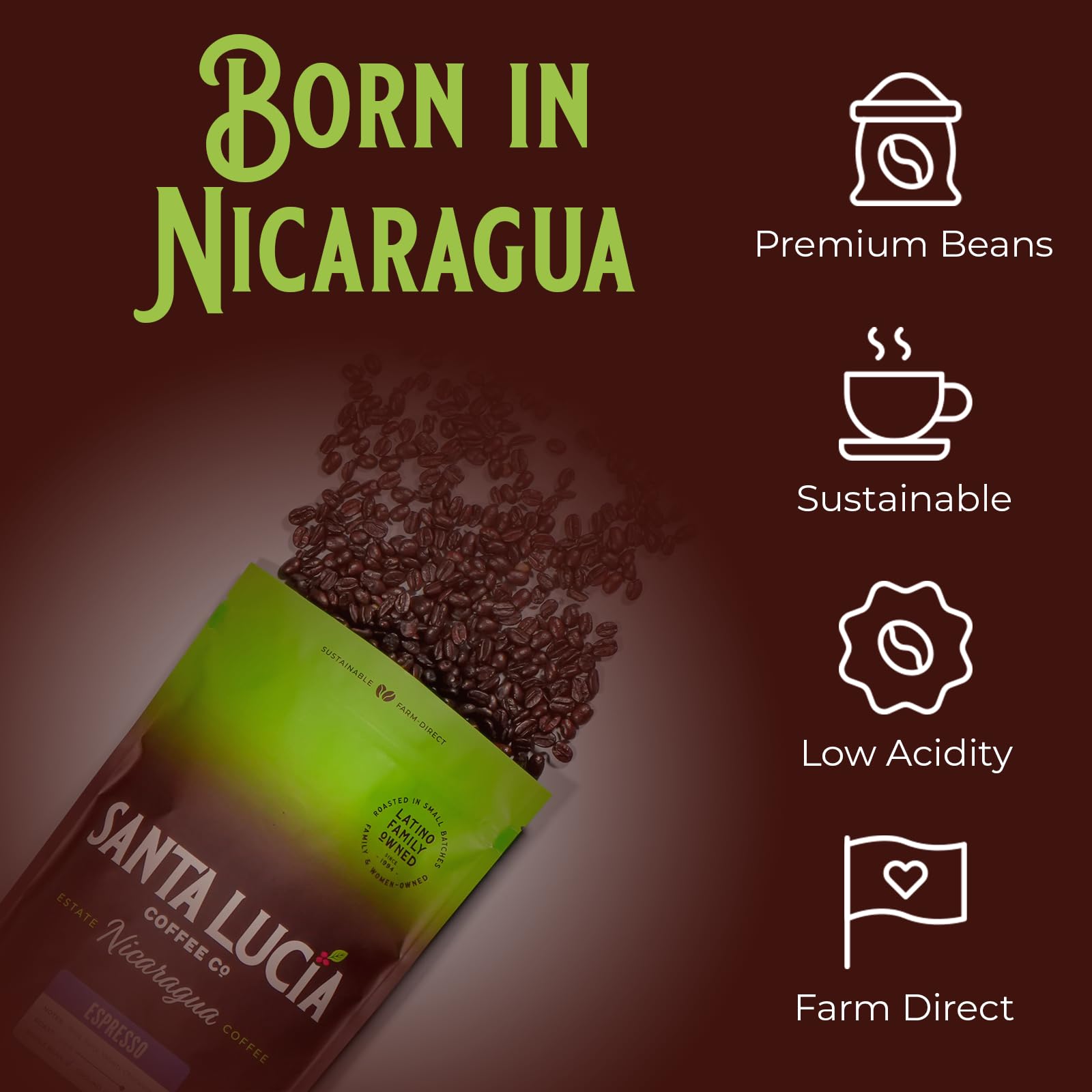 Santa Lucia Coffee Café Crema Espresso Roast Coffee - Specialty Volcanic Nicaraguan Espresso Roast - Farm-Direct, Low-Acid - Dense Golden Crema
