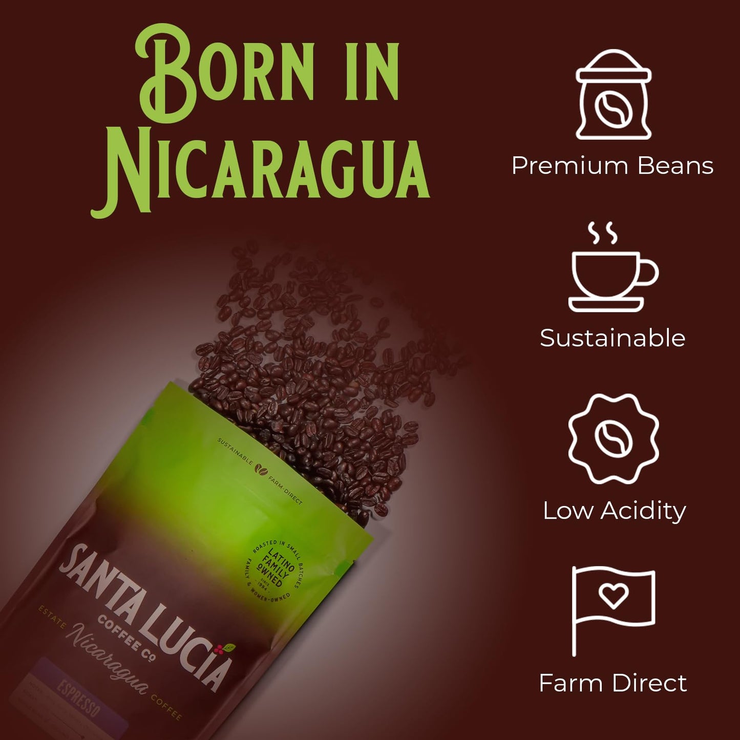 Santa Lucia Coffee Café Crema Espresso Roast Coffee - Specialty Volcanic Nicaraguan Espresso Roast - Farm-Direct, Low-Acid - Dense Golden Crema