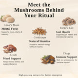 Immortal Mycelium Mushroom Mocha - Arabica Coffee with Lion’s Mane, Cordyceps, Reishi, Turkey Tail & Chaga - Adaptogenic Mocha Coffee Alternative - 15