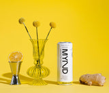 Lemon Ginger Flavor 12-Pack