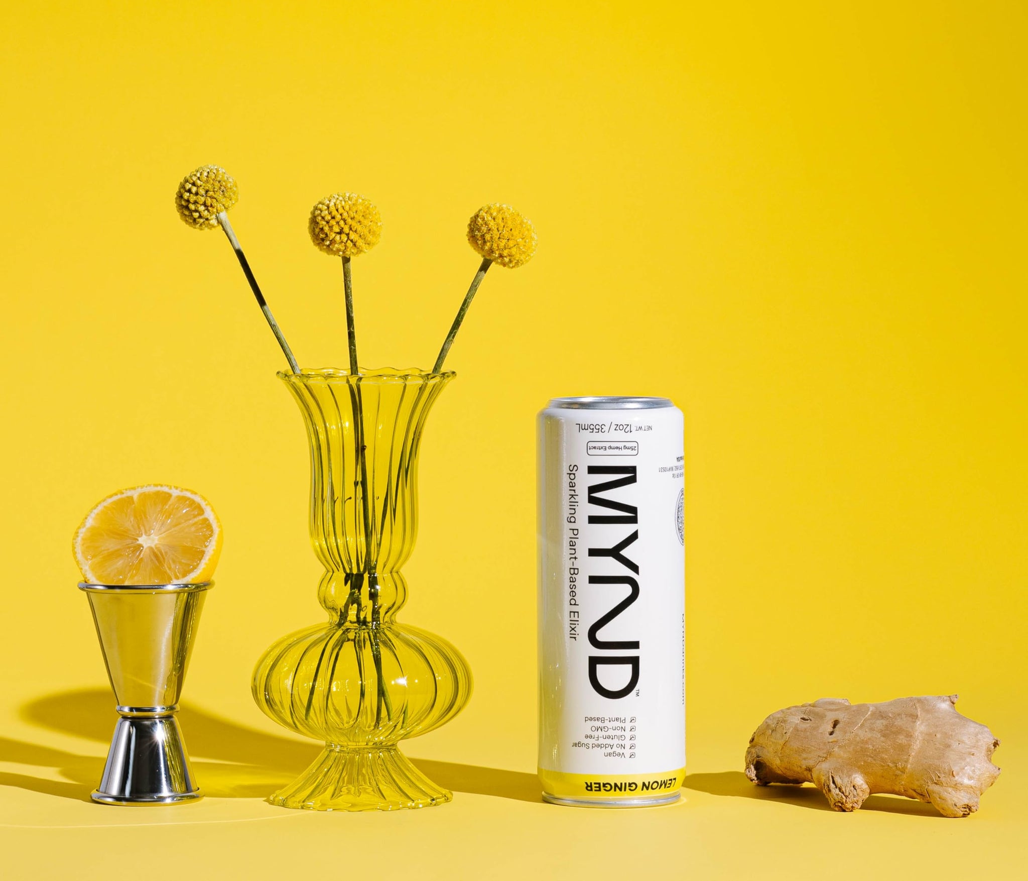 Lemon Ginger Flavor 12-Pack