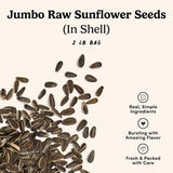 Nuts com Jumbo Raw Sunflower Seeds (In Shell) - Unsalted, Non-GMO, USA Grown, Gluten-Free - High Protein, Heart-Healthy Snack for Eating (2lb)