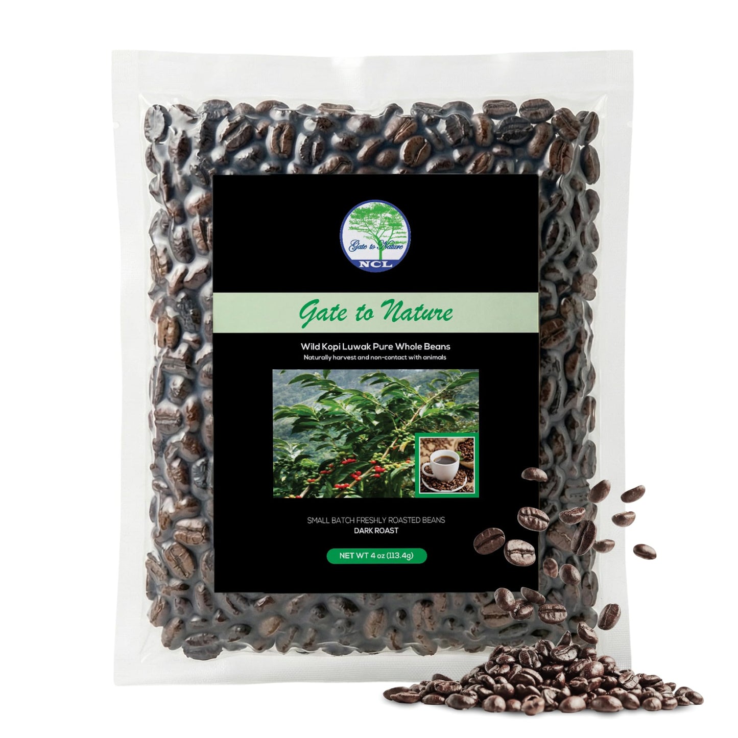 Gate to Nature Wild Civet Arabica Coffee Whole Beans, Freshly Made Luxury Kopi Luwak Coffee Bean, Dark Roast Kopi Luwak Coffee Gifts, Produce in best