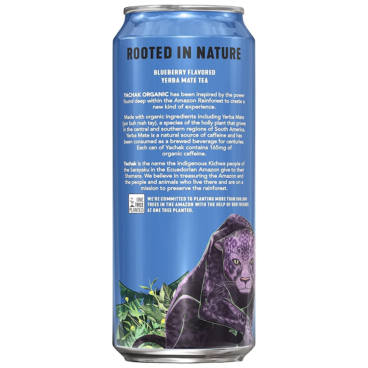 Yachak Yerba Mate, Berry Blue, 16 Oz, Pack of 12