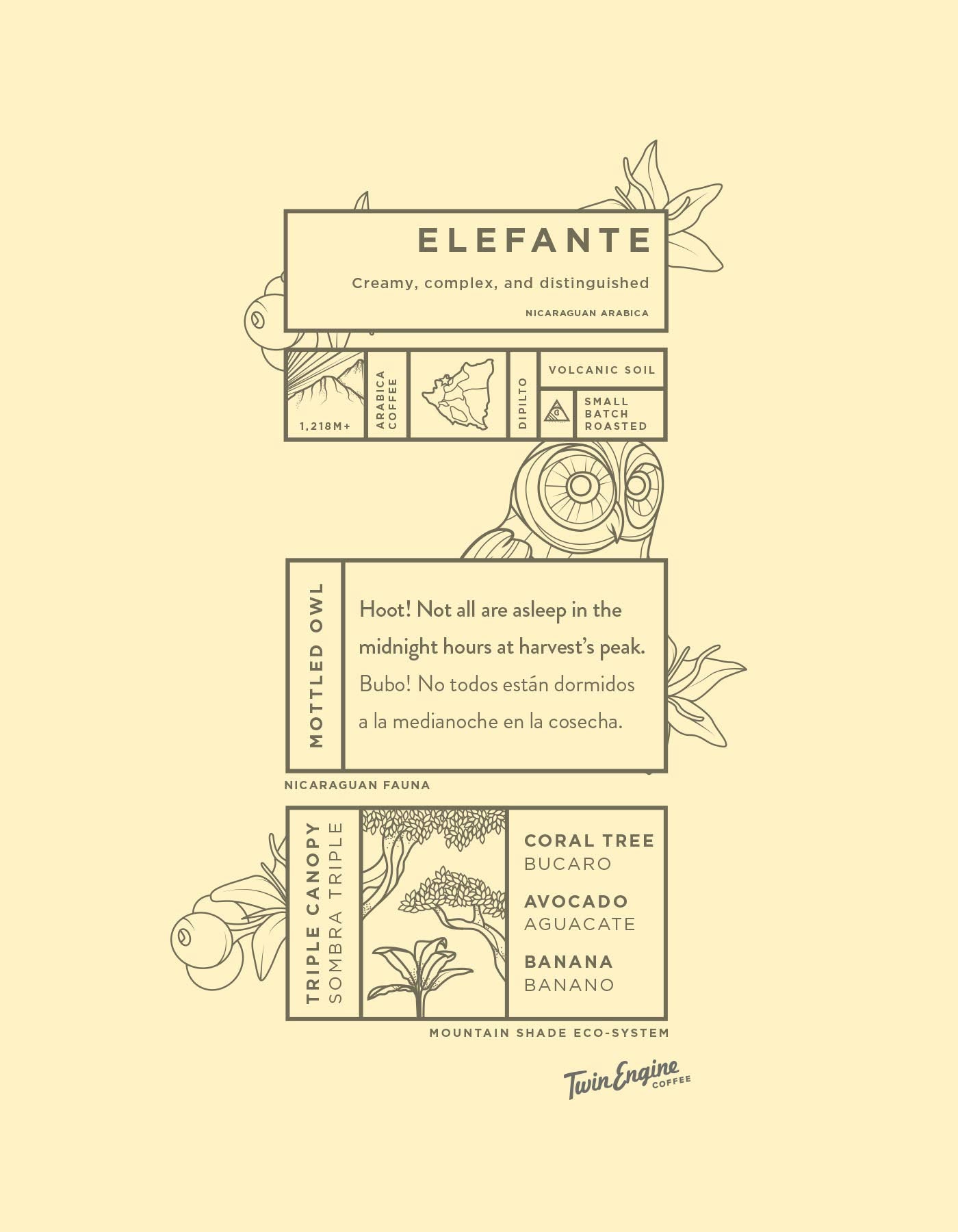 Twin Engine Coffee, ELEFANTE RESERVE Limited Edition, Whole Bean, Nicaragua's Coffee, 300g 10.6oz.