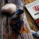 LOKO nature Tiger 2 Mushroom Coffee- Organic Lions Mane and Chaga Mushroom with Arabica Coffee, 30 Servings, Memory, Focus, Immune System Booster
