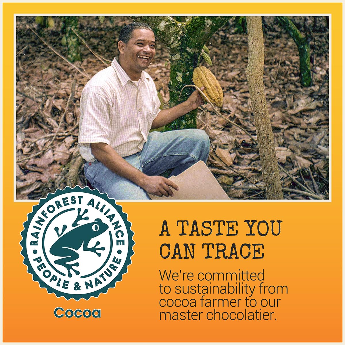 Chocolove Orange Peel Dark Chocolate Bars | 55% Cocoa | Tangy Orange Peel Bits | Smooth & Sweet | Premium Dark Chocolate |Non GMO, Rainforest Alliance