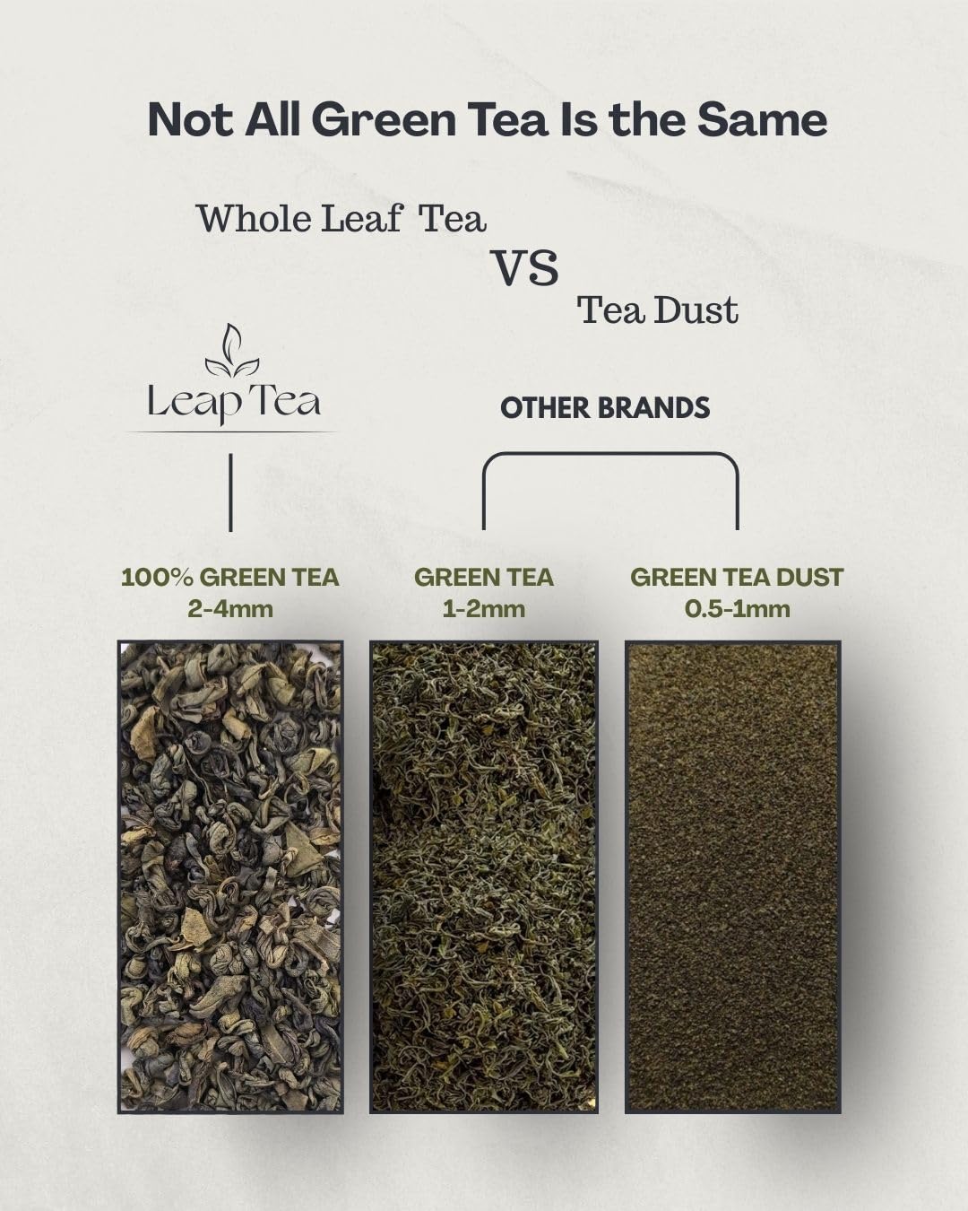 Leap Ceylon Green Tea Loose Leaf - Pure Sri Lankan Whole Leaf Green Tea from Ceylon 14 oz (400g) Premium Loose Leaf, Rich in Antioxidants