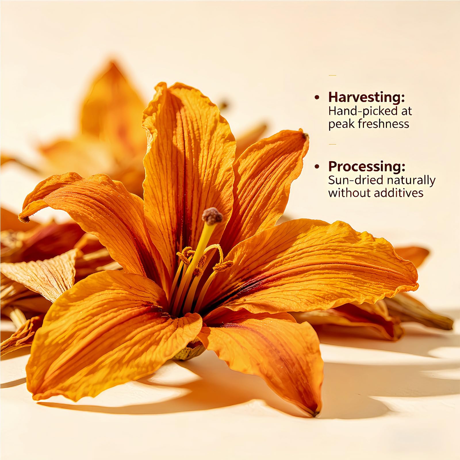 Dried Lily Flowers Tea 5oz - Bai He Tea Sulfur-Free, All-Natural for Tea, Cooking & Soup - (120g)