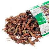 Hapsmiley Wild Prunella Spike Dried (xia ku cao/???), Self Heal (Prunella vulgaris L), Bulk (Cut and Sifted), Natural 100% Health Tea (2 Oz / 60g)